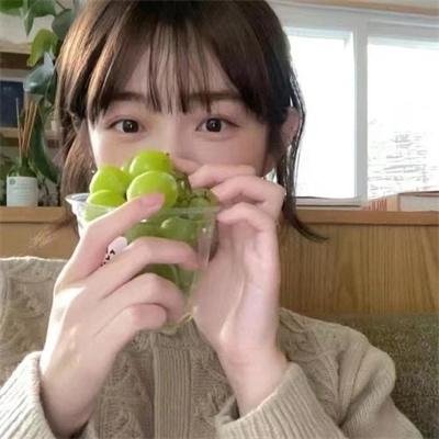 小莫莉大冒险